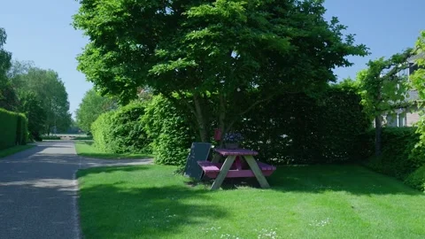 Pink picnic table standing under a tree creating a relaxing shadow Stock Footage 336903109