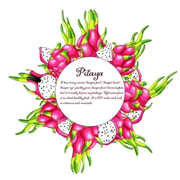 Pink pitahaya circle frame Stock Illustration