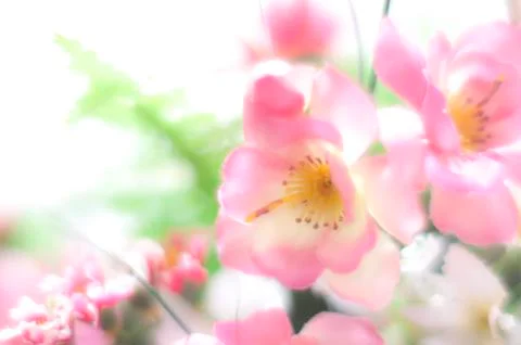 Pink plastic flowers Foto stock