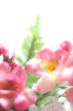 Pink plastic flowers Stock Photos