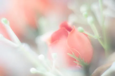 Pink plastic flowers Foto stock