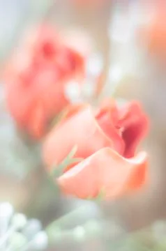 Pink plastic flowers Stock Photos