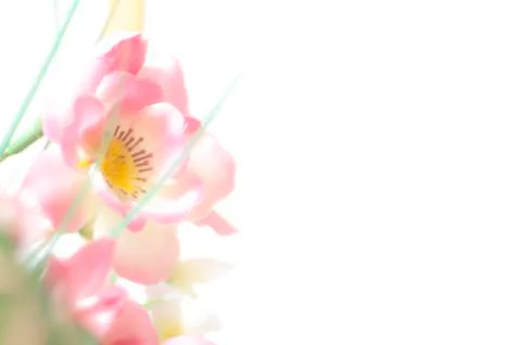 Pink plastic flowers Foto stock