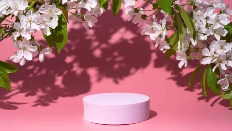Pink podium and cherry flowers blossom, leaves shadow, product design mockup 動画素材 203807672