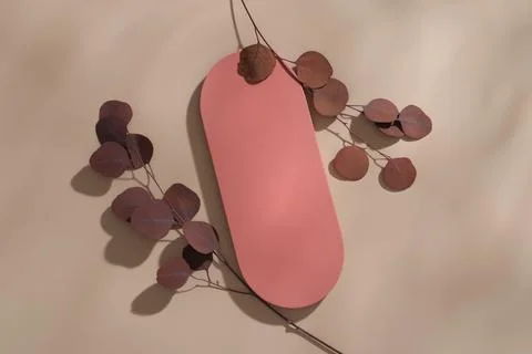 Pink podium in rounded rectangle shaped decorated with many leaves. Autumn is Stock Photos