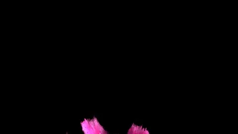 Pink powder explosion in slow motion. Movement in three directions Stock Footage 122483579