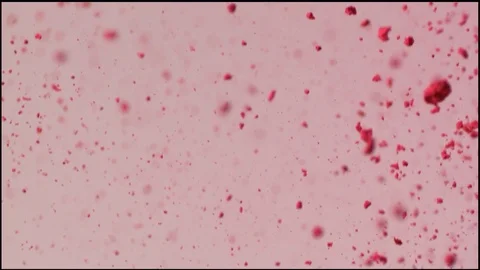 Pink Powder Slow Motion Stock Footage 81885155