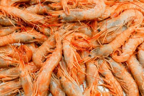 Pink prawns background Stock Photos