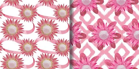 Pink Protea Boho Seamless Patterns set Stock Illustration