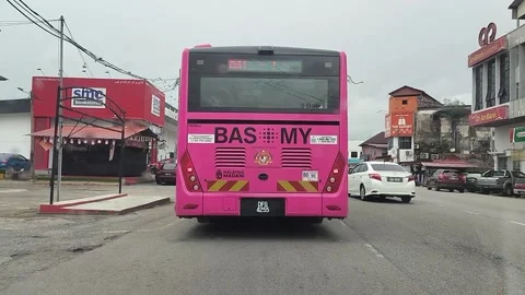 Pink public bus service operating in Kelantan Stock Footage 324692082