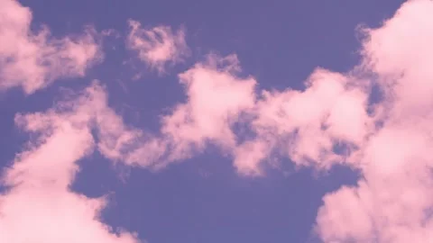 Pink Puffy Clouds in Lilac Blue Sky in Sunlight at Sunset Time Lapse Clouds 4K.  Stock Footage 310182887