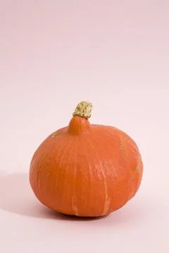 Pink pumpkin Stock Photos