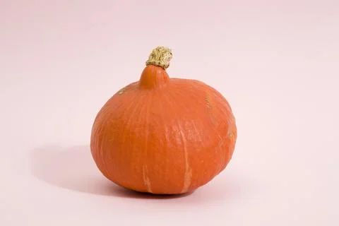Pink pumpkin Stock Photos
