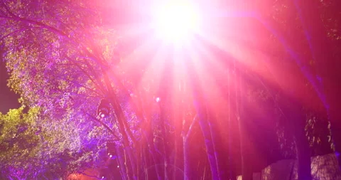 Pink purple Bokeh abstract blurred background festive traffic red lights car on  Stock Footage 254635751