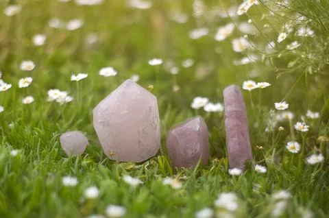 Pink quartz  in nature Stock Photos