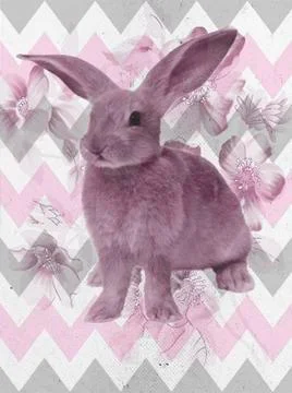 Pink rabbit Stock Photos