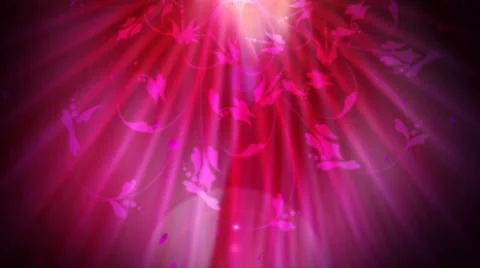 Pink Radiance 1080  background Stock Footage 50697434