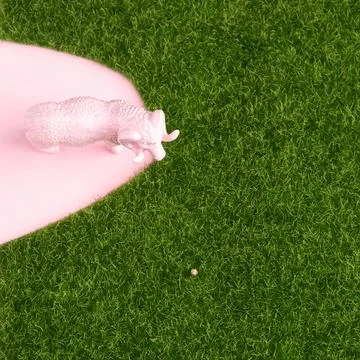 A pink ram grazes the grass on a pink background Stock Photos