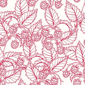 Pink raspberry Stockillustratie