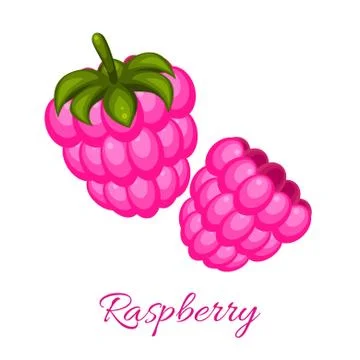 Pink raspberry logo vector icon 스톡 일러스트