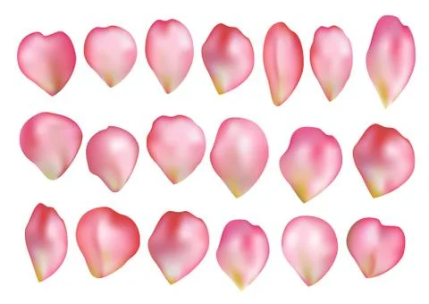 Pink realistic vector rose petals set Stock Illustration