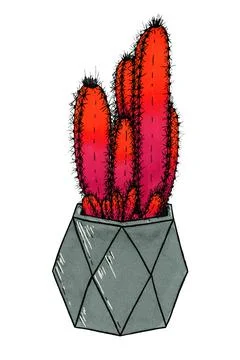Pink-red cactus in a gray geometric pot on a white background illustration Stock Illustration