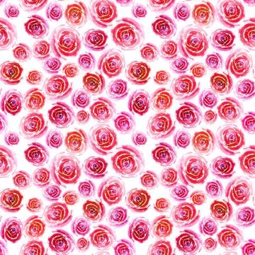Pink-red roses of different sizes on a white. Watercolor seamless pattern Stock Illustration