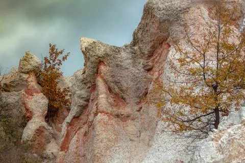Pink rocks with growing trees. Stock Photos