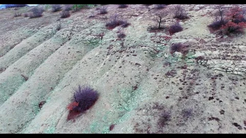 Pink Roks Video stock 329954606