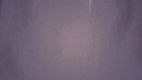 Pink Romantic Background Loop  Stock Footage 230299012