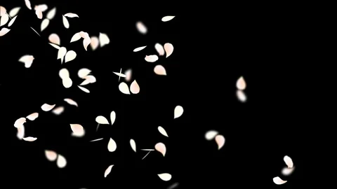 Pink romantic falling petals of sakura. Looped 4K motion spring blossom graphic Stock Footage 104512439