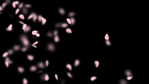 Pink romantic falling petals of sakura. Looped 4K motion spring blossom graphic Stock Footage 104516296