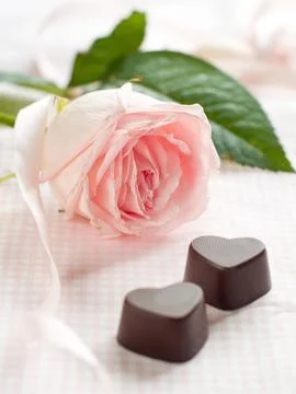Pink rose with chocolate candy, selective focus Stock Photos