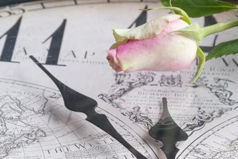 Pink rose on a clock face, clock hands Stock Photos