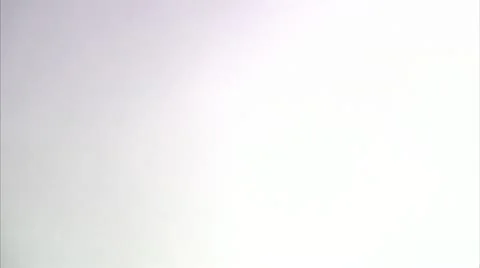 A pink rose, close-up Stock Footage 11287318