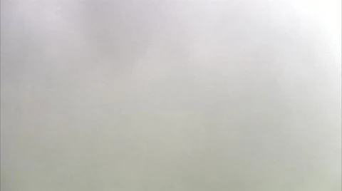 A pink rose, close-up Video stock 11287326