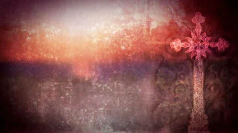 Pink Rose Cross Stock Footage 50718891