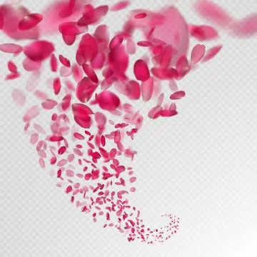 Pink rose falling petals. EPS 10 イラスト素材