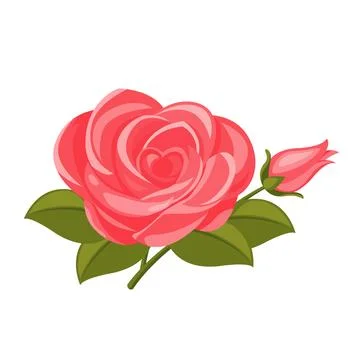 Pink rose flower with bud flat cartoon illustration Stock Illustration