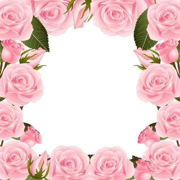 Pink Rose Flower Frame Border. Vector Illustration. Stock Illustration