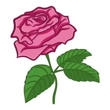 Pink Rose Flower with Stem. Vector Illustration of a Beautiful Rose with Gr.. Stock Illustration