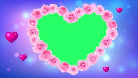Pink rose frame with green space. Stock Footage 155948571
