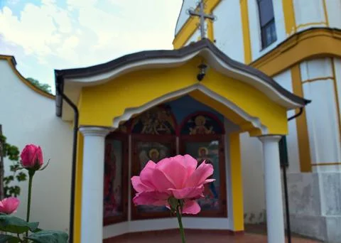 Pink rose in front of small open chapel in monastery Stock Photos