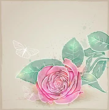 Pink rose Stock Illustration