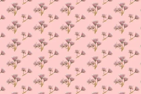 Pink rose Stock Illustration
