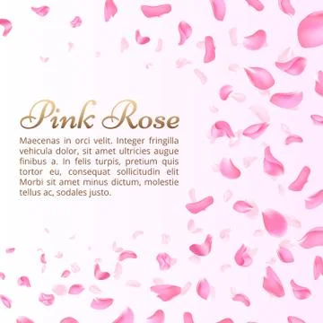 Pink rose or sakura falling petals. Elegant romantic vector background Stock Illustration