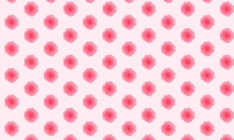 Pink rose pattern background Stock-Illustration