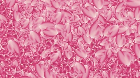 Pink Rose petals background falling loopable Stock Footage 123978484