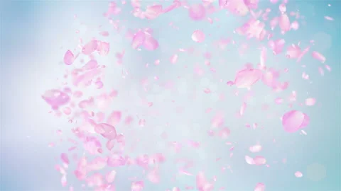Pink Rose Petals explosion in 4K Vidéo 123121148
