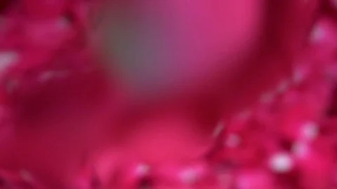 Pink rose petals falling 120 fps Stock Footage 80922097